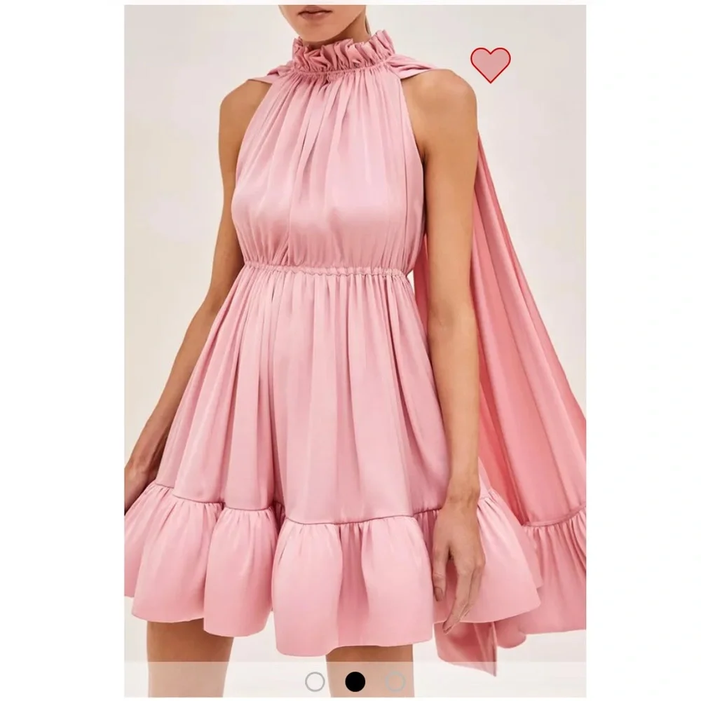 Alexis Lynda dress in french rose - Picture 2 of 5